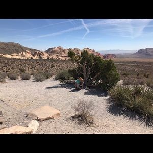 Meet your Posher, Stella